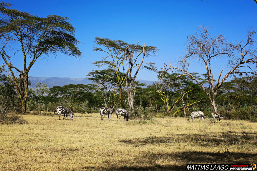 Kenya